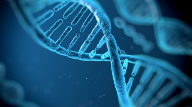 Quién fue Rosalind Franklin, la mujer que descubrió el ADN